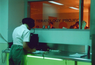 The Teratology Project window